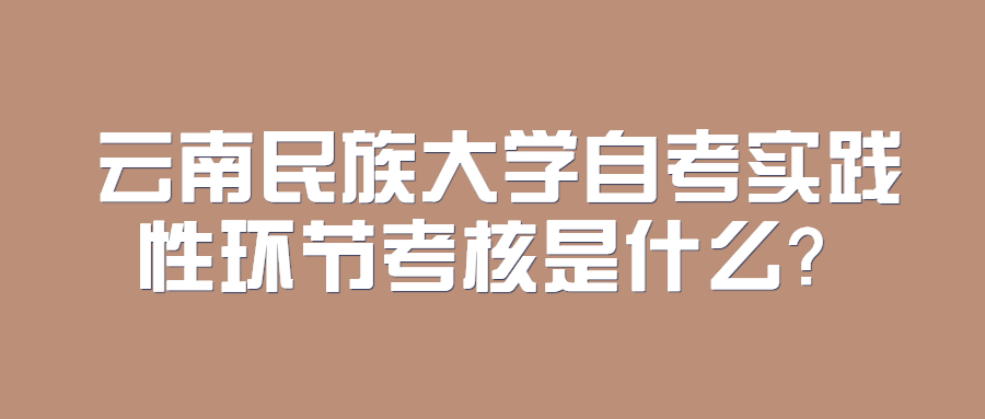 云南民族大学自考实践性环节考核是什么？